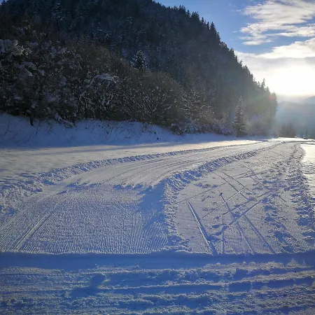 Alpen-ferienwohnung Bei Neuschwanstein - 6 Pers - Terrasse - Ruhige Lage - Wandern & Skifahren * Musau