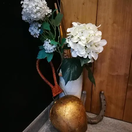 Ferienwohnung Achselkopf - Reutte - Lechtal - Tirol - Allgaeu - Neuschwanstein Musau