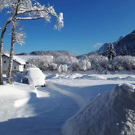Achselkopf - Reutte - Lechtal - Tirol - Allgaeu - Neuschwanstein Daire