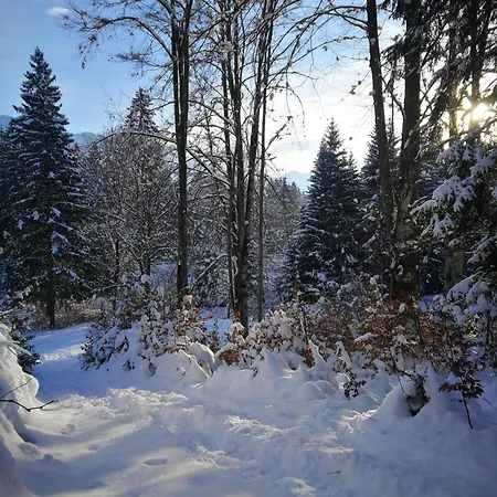Achselkopf - Reutte - Lechtal - Tirol - Allgaeu - Neuschwanstein Daire *
