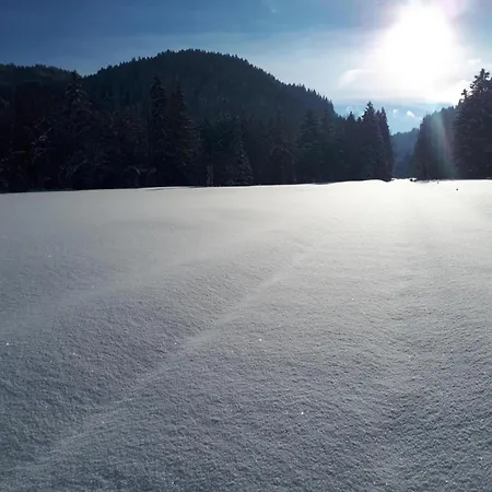 Lägenhet Alpen-ferienwohnung Bei Neuschwanstein - 6 Pers - Terrasse - Ruhige Lage - Wandern & Skifahren *